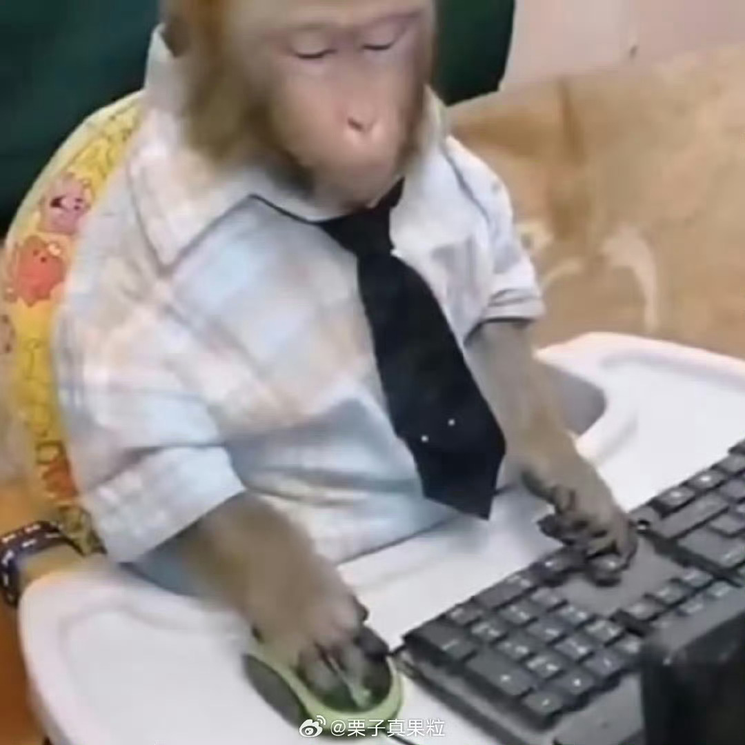 这样的日子我会过多久？ 