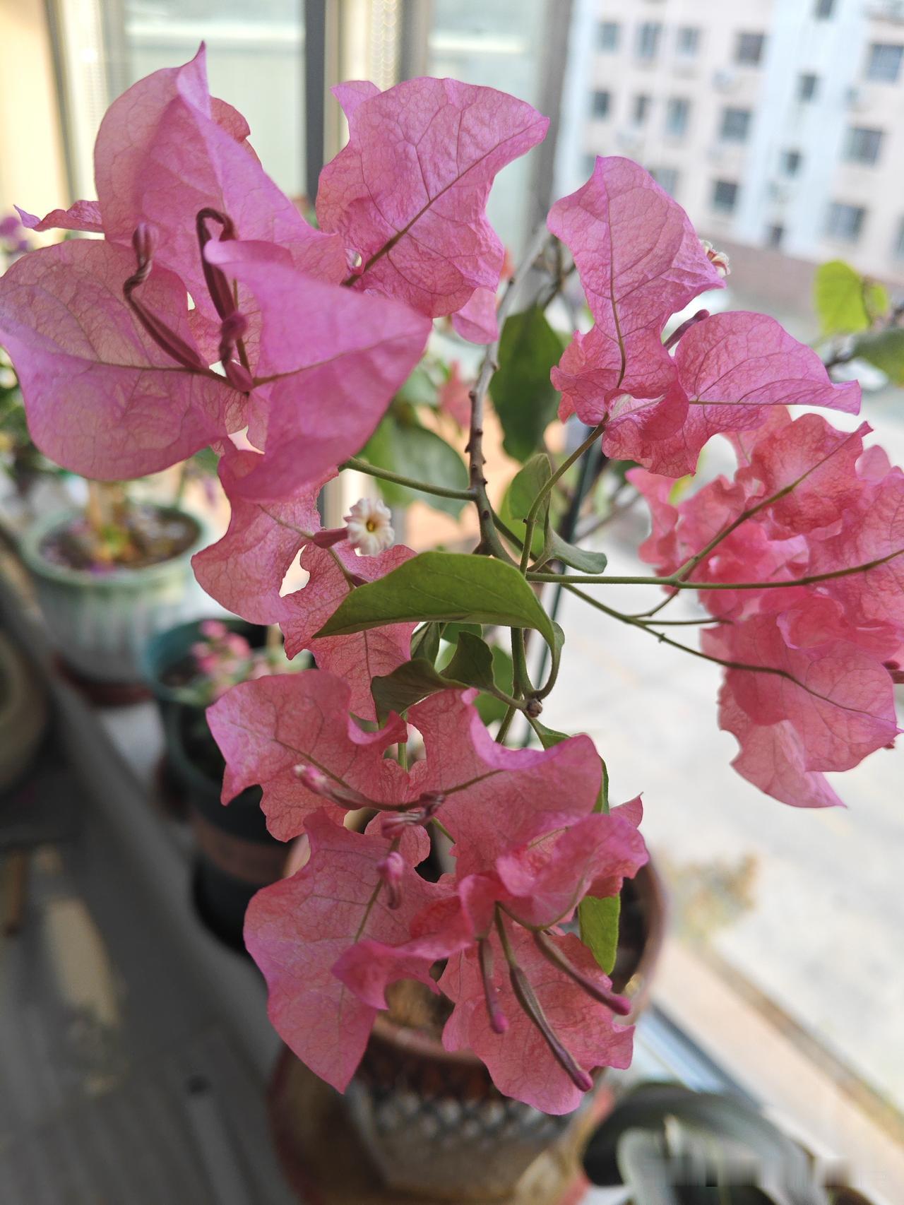 偏心父母令子女伤心，偏心领导让下属寒心

同学打电话向我发起了牢骚:

同学说，