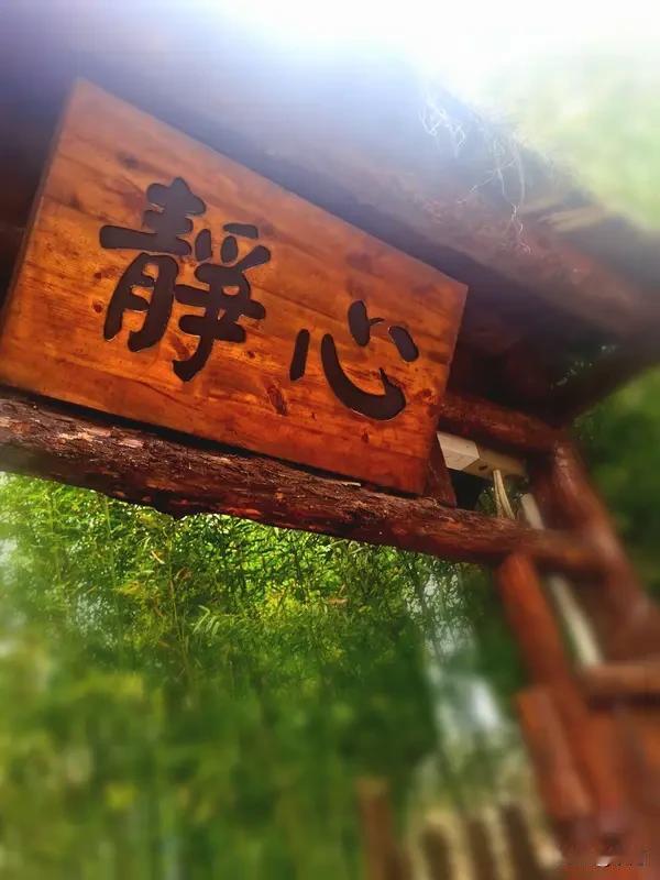 人生在世,最大的失败是什么? 人生在世，最大的失败不是贫穷落魄，也不是无人认可。