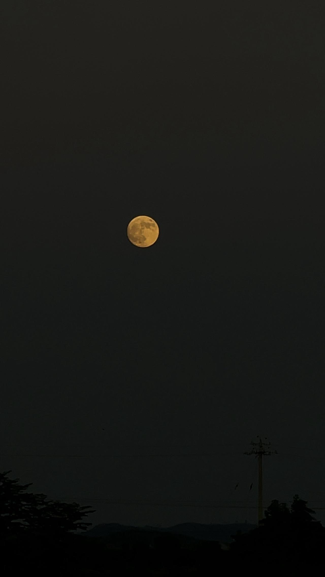 月亮🌙 一起赏月