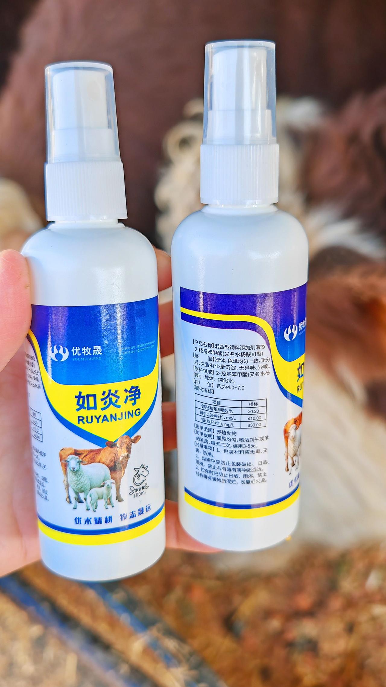 养羊人 牛羊养殖 养殖场专用 农村养羊