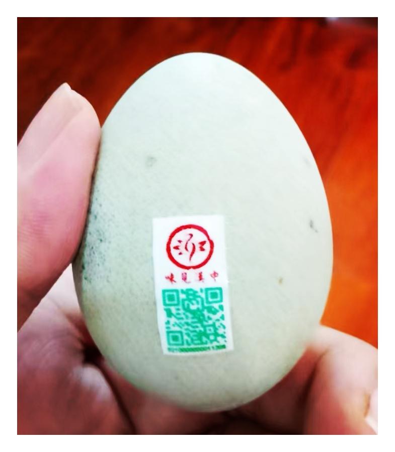 一枚皮蛋，激光防伪
 文/伍宏贤
    鸭皮蛋，又称变蛋，历来是宴席里颇具特色