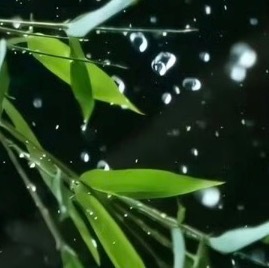人生的路经历过，才知道有短有长；岁月，在无憾中微笑，才美丽；回过头，想着明天抱一