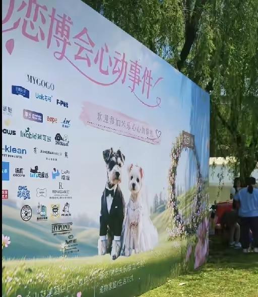 世界之大，无奇不有！
刚又刷到一个给“狗狗”举办婚礼的短视频。红地毯铺起来，气球