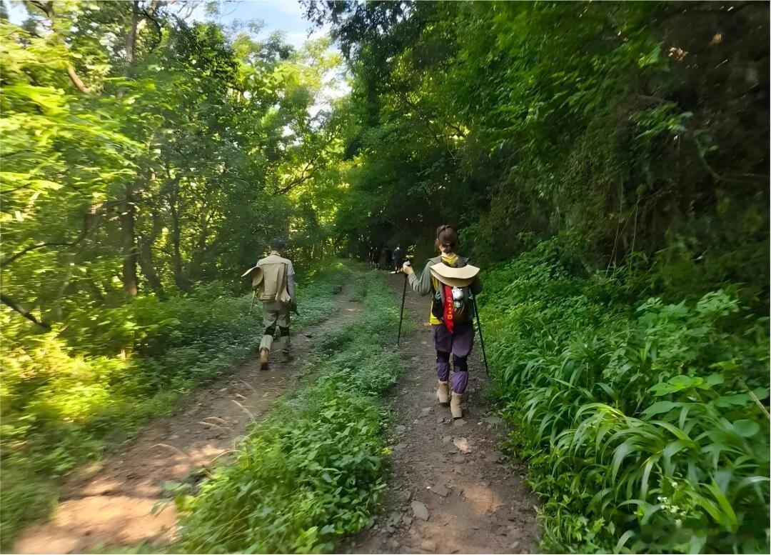 宁波梅云古道硬化引网友热议 宁波鄞州区横溪镇梅云古道启动提升工程，项目耗资231
