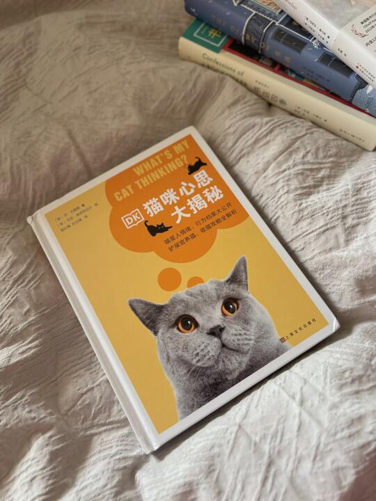 ◻️像猫咪一样思考：猫咪心思大揭秘