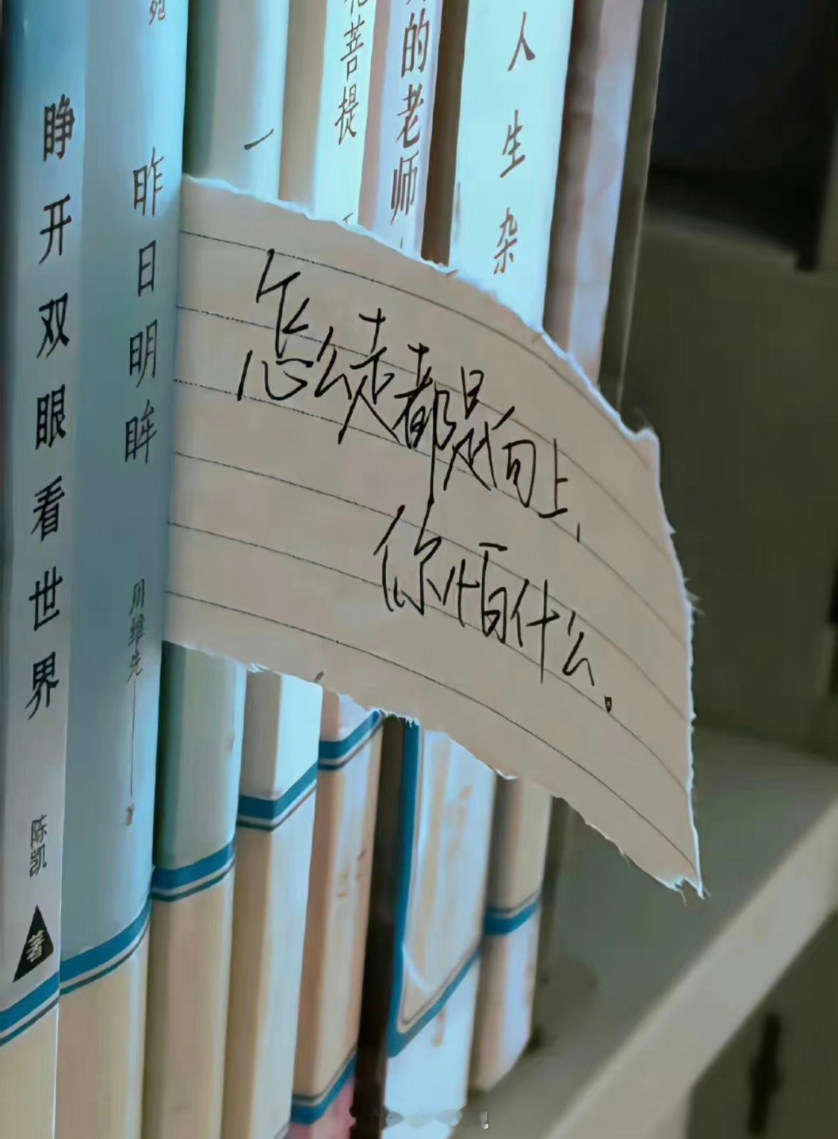 Tim说勇气比征服更重要比起事事顺遂如愿拿下结果，直面困境的勇气更为珍贵。不惧前