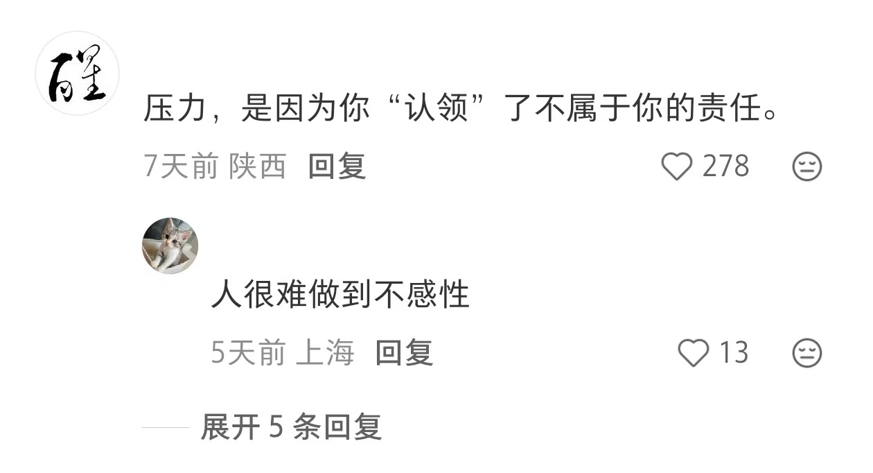 职场顶级心态 不吃压力之人 