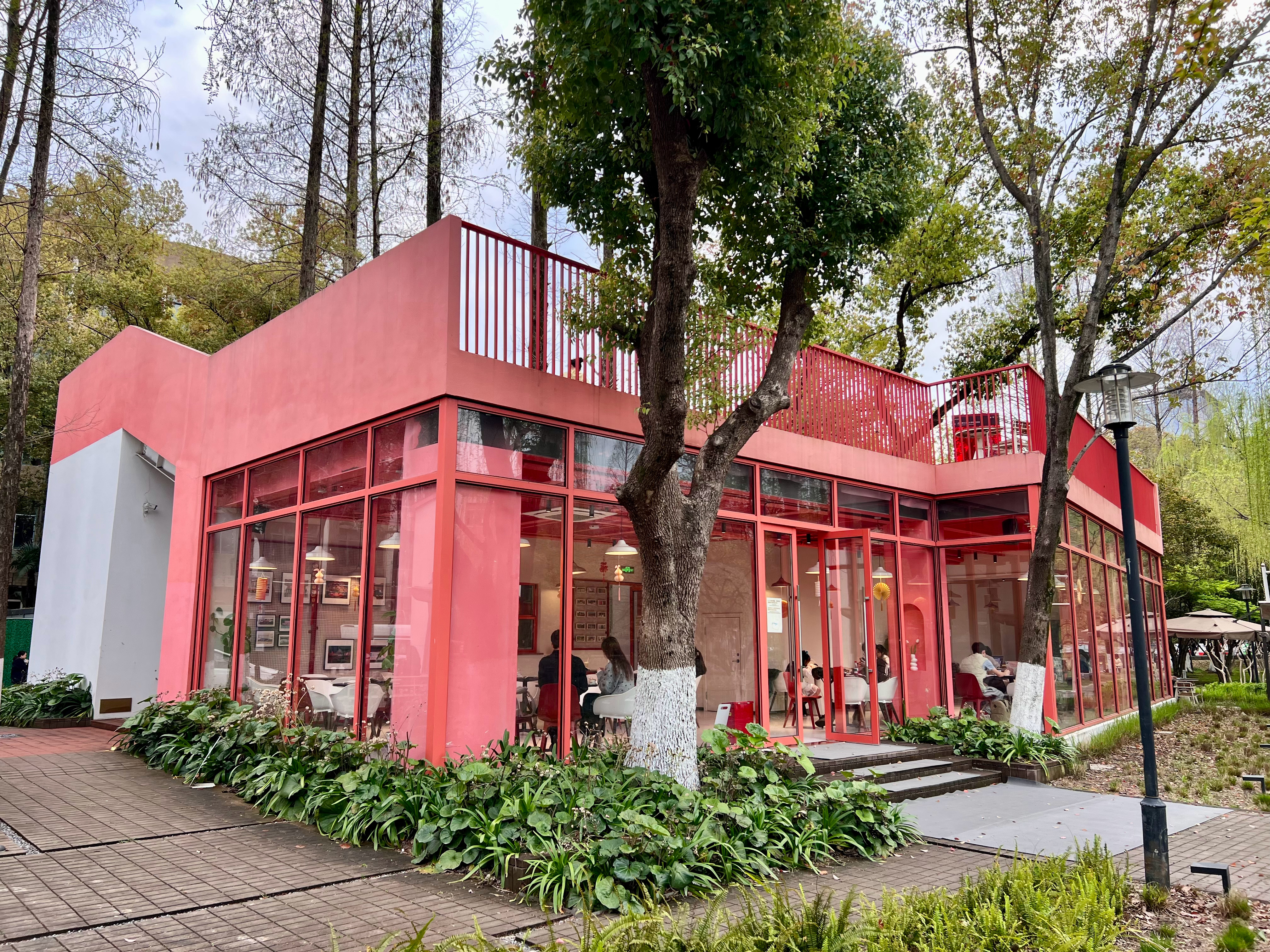 今天杭州的天气也太舒服了吧，花也开得特别漂亮，来浙工大体育场走一走，很惬意 