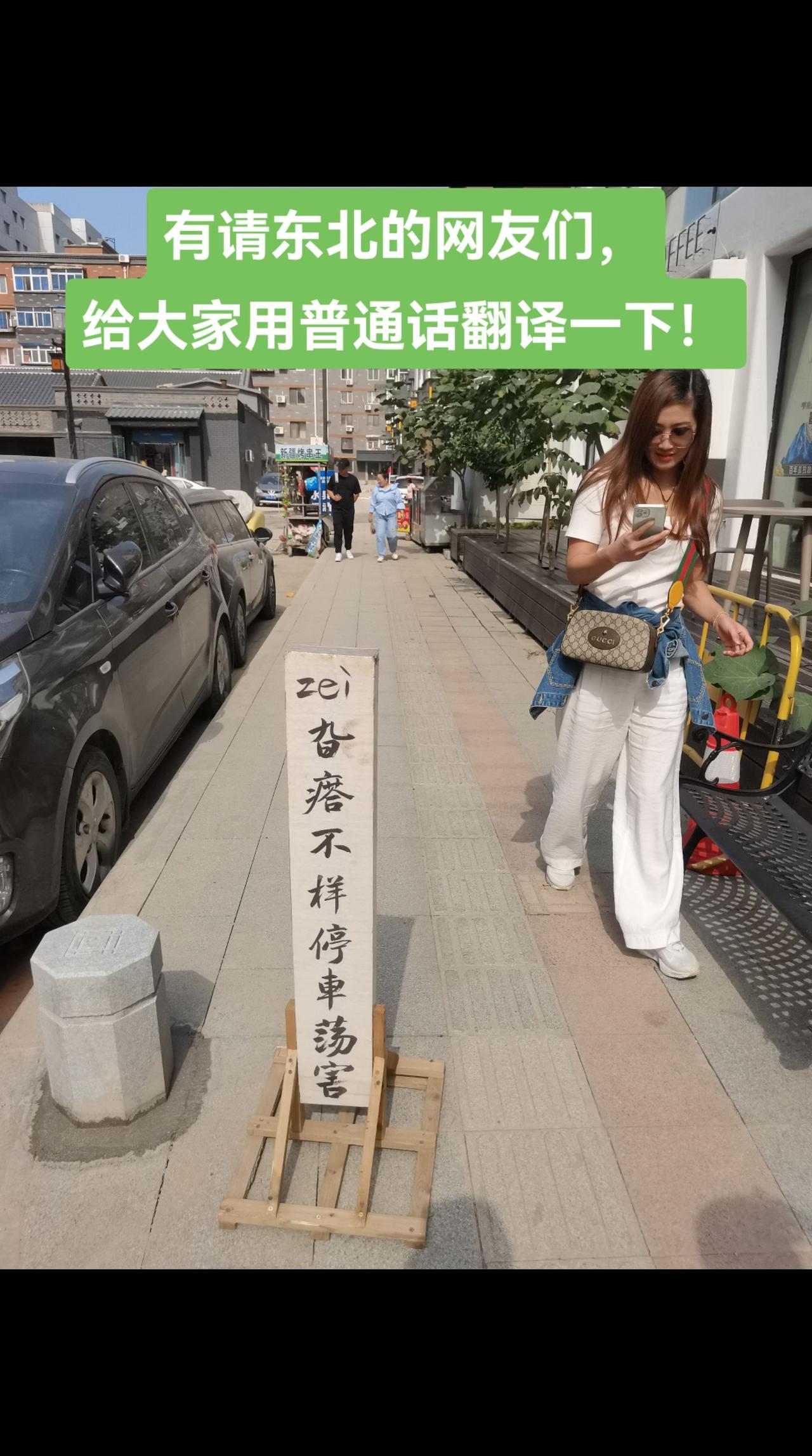 有请东北的网友们，给大家用普通话翻译#沈阳 #城市一角 #街拍 一下！