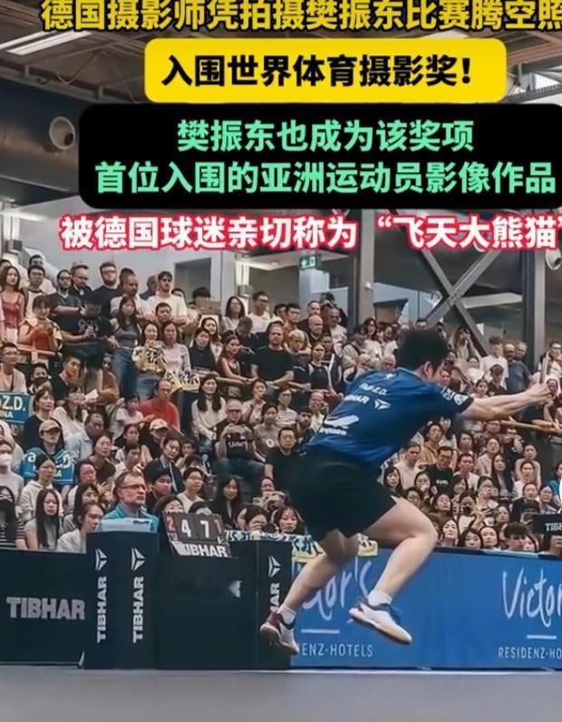 樊振东这一跳可太牛了，直接火到国外！他的一张赛场腾空照入围了2026年世界体育摄
