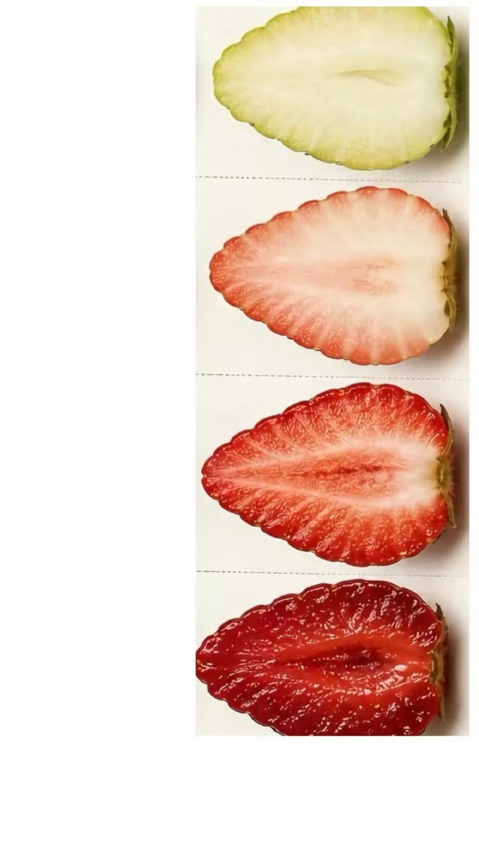 青涩的果子在时间的滋润下溢出最甜腻香艳的汁水来做了点梗图，这么一看林咪也是非常有