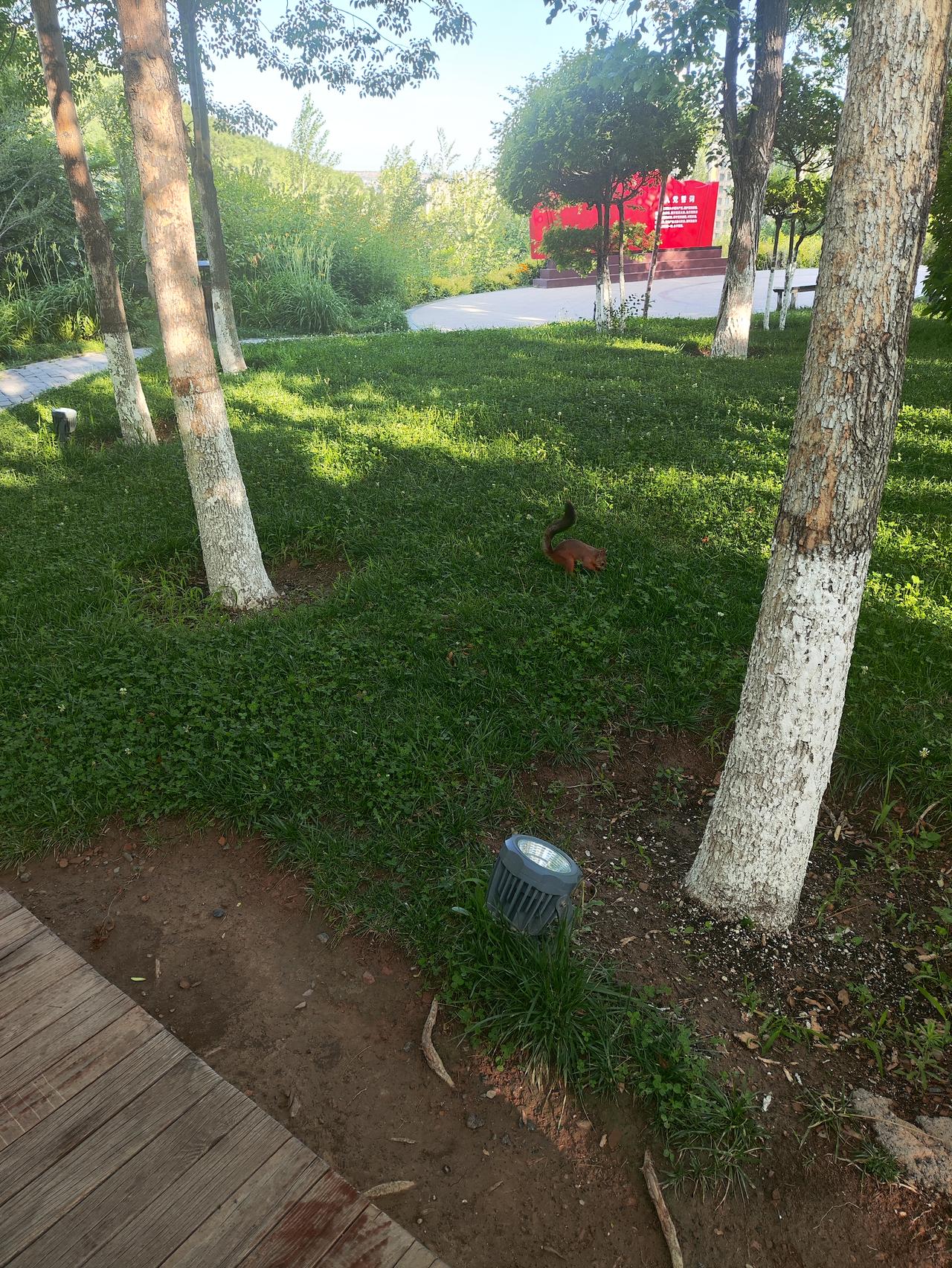 晒晒最近拍的风景看看我拍的