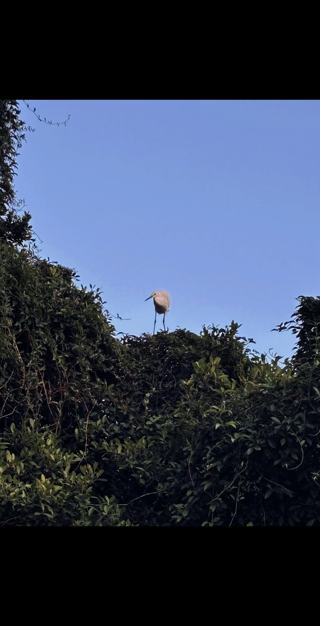 相册里随便找张照片，配上这个BGM
万物有灵 鸟鸟类 2025你值得留住的记忆