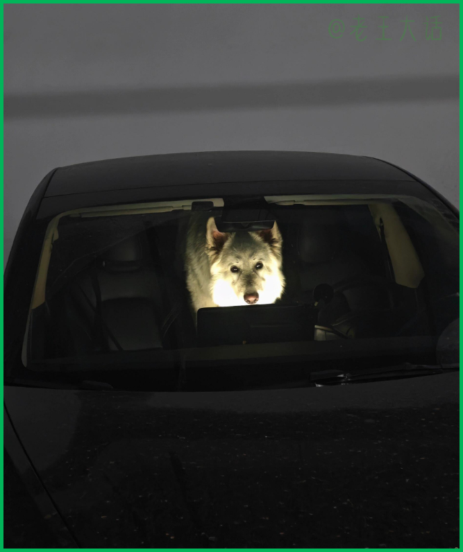 大晚上看到这个真的会让人吓一跳吧，有点恐怖 