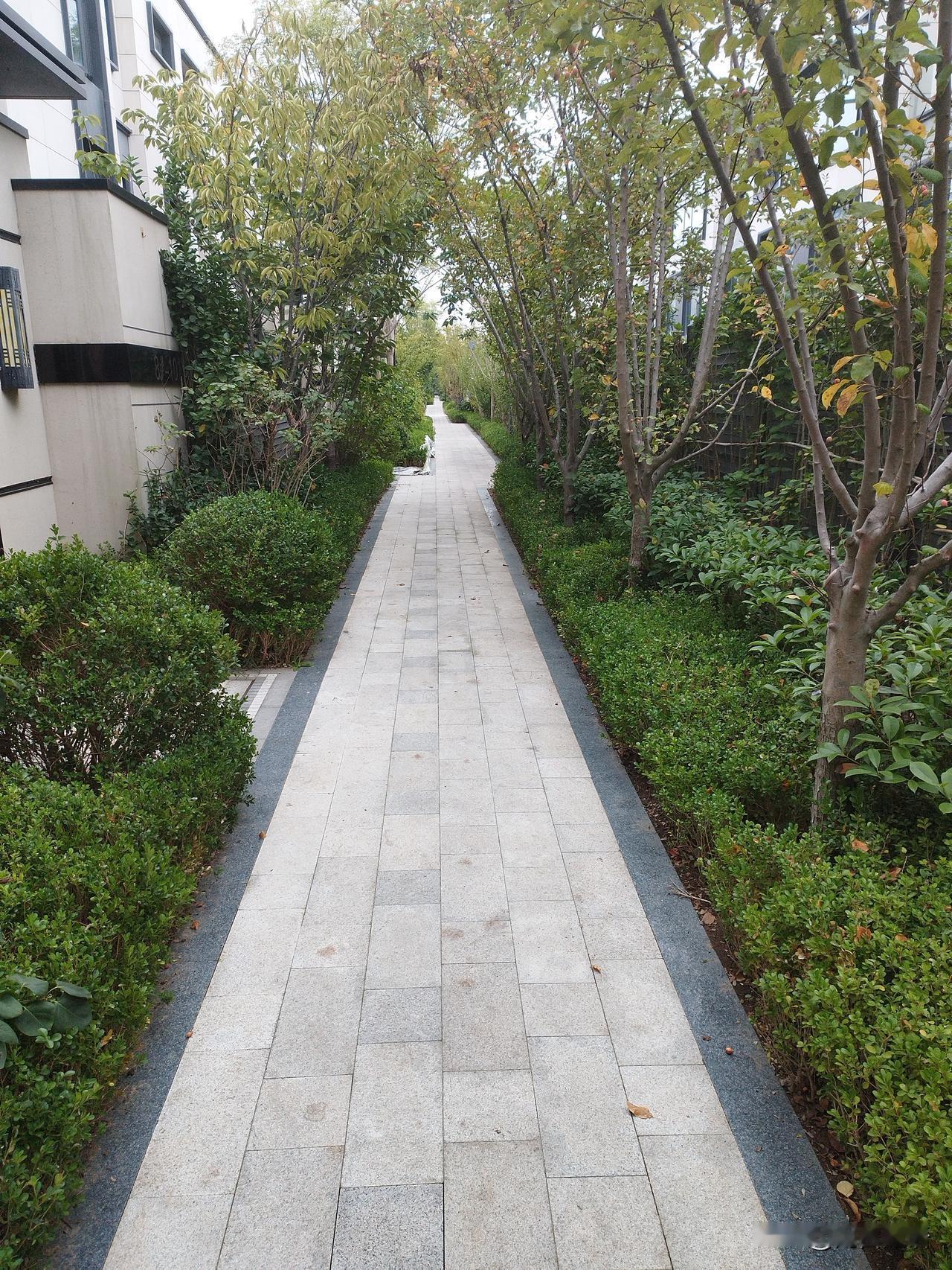 去朋友家帮个小忙，中午就留下来吃了顿便饭。
朋友的爱人性格也很爽朗，招呼我别客气