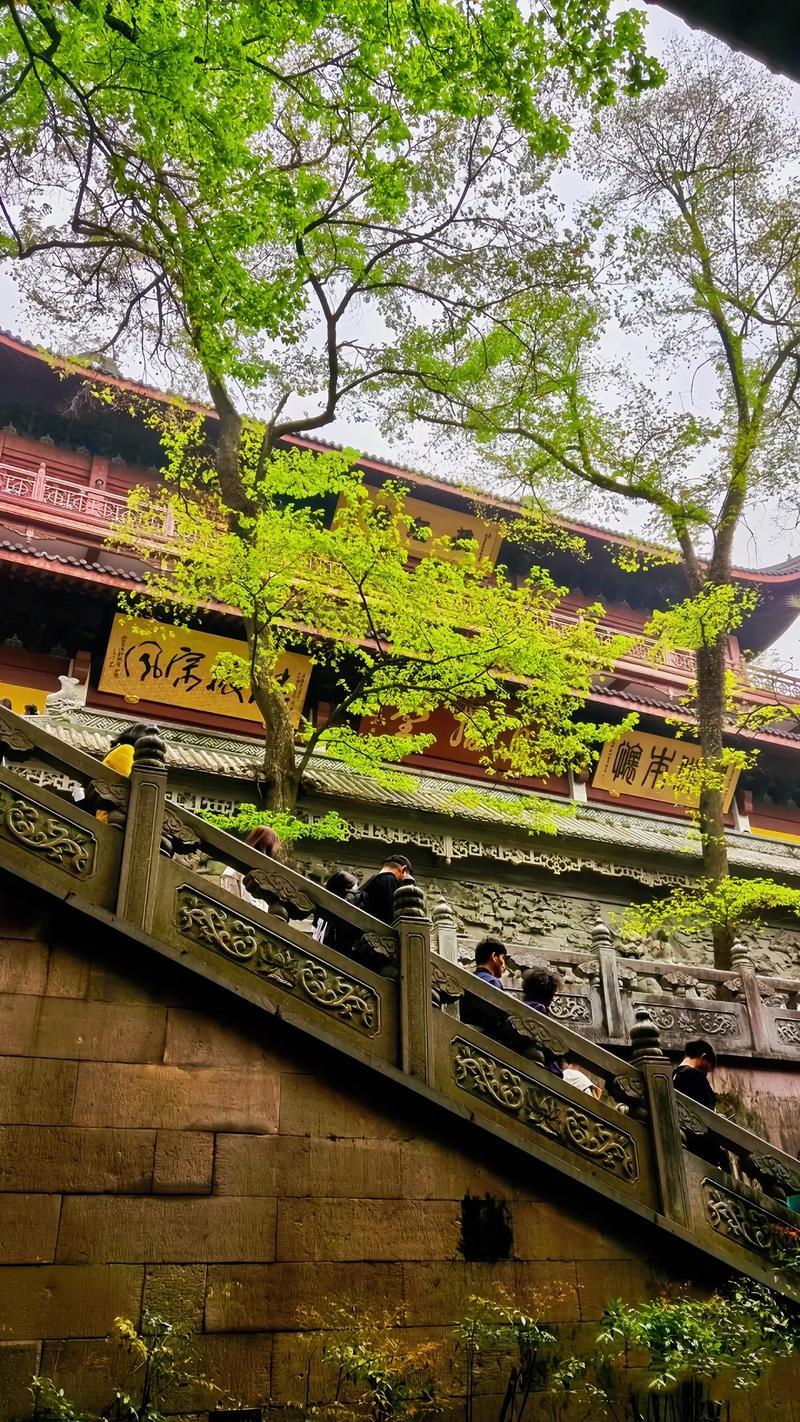 【杭州某寺庙报警了】
香火很旺的杭州某寺庙，很多香客，你十元，他二十年，给佛主捐