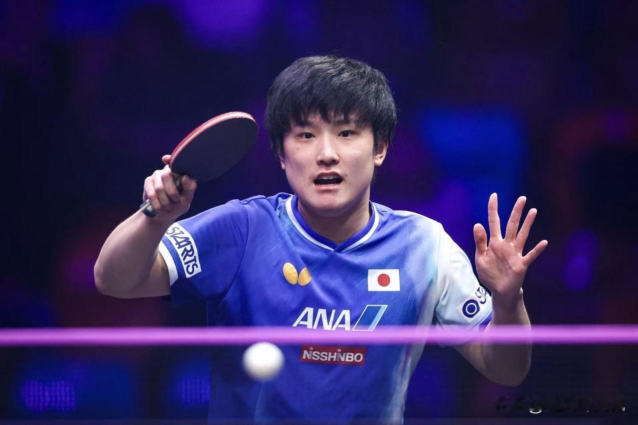 张本智和既是劳模又是打不死的小强。

       不知张本智和这样疲于奔命到底