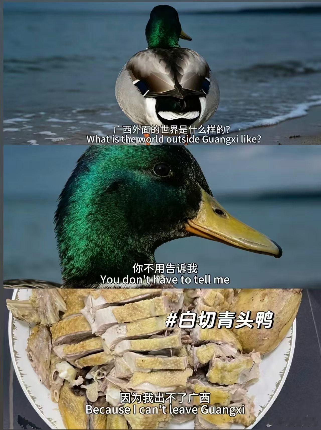 群里发的有意思的图[哈哈] ​​​