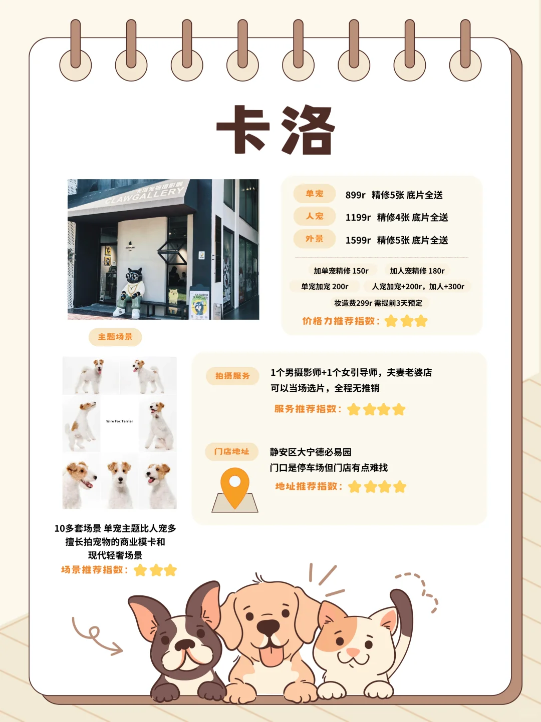 宠物拍写真必看！上海宠物摄影大揭秘