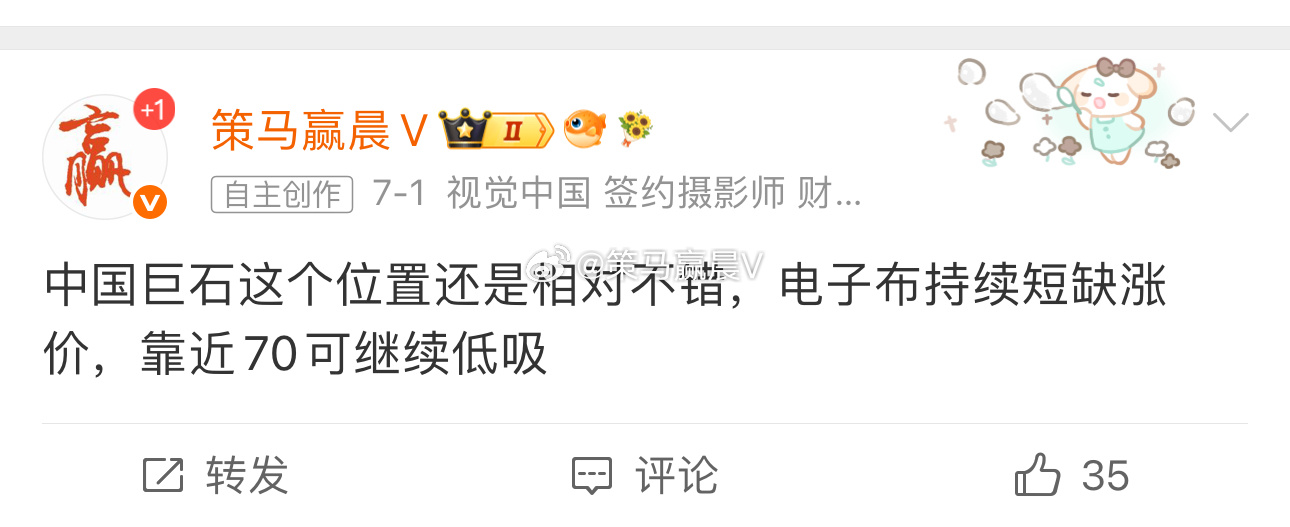 中国巨石涨停！电子布率先突围的板块，7月1号老马哥盘中还在提示中国巨石位置相对不
