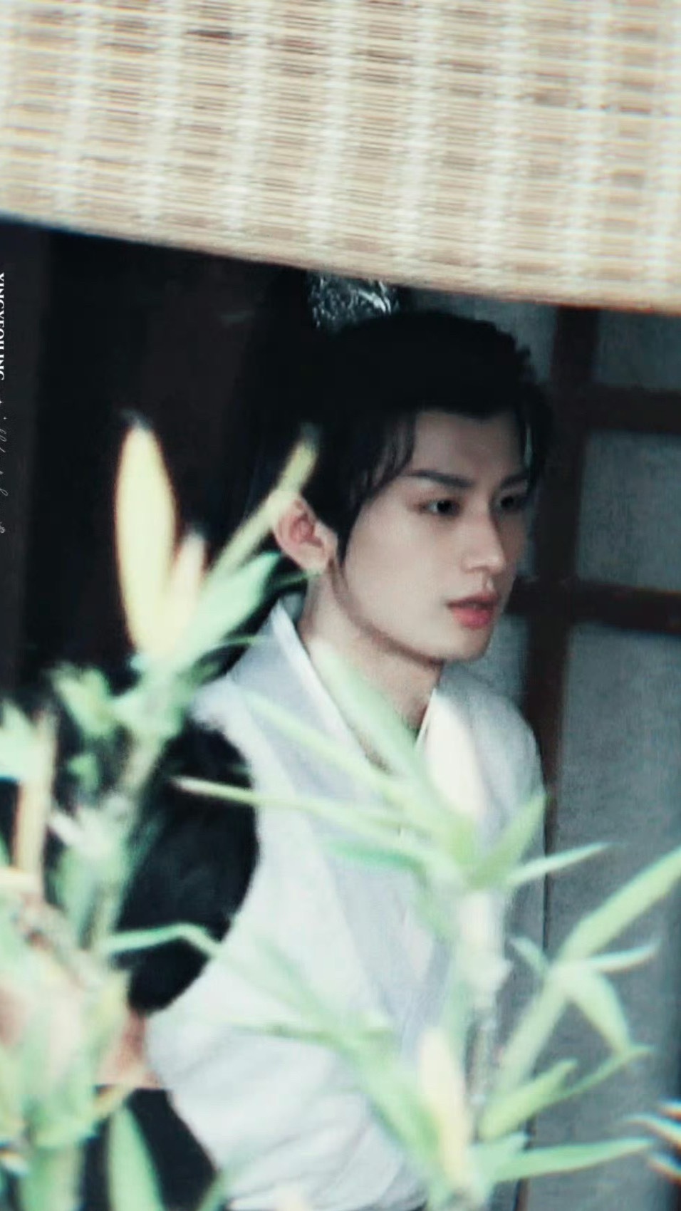 2026淇圈顶流争霸赛今天都投我唐周了吗 我的少年天师呀成毅饰演的甜粥少年感满满