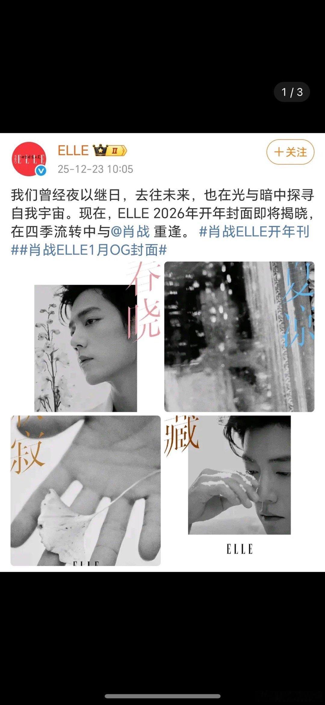 肖战ELLE1月开年刊OG封面预热，这待遇什么水平 