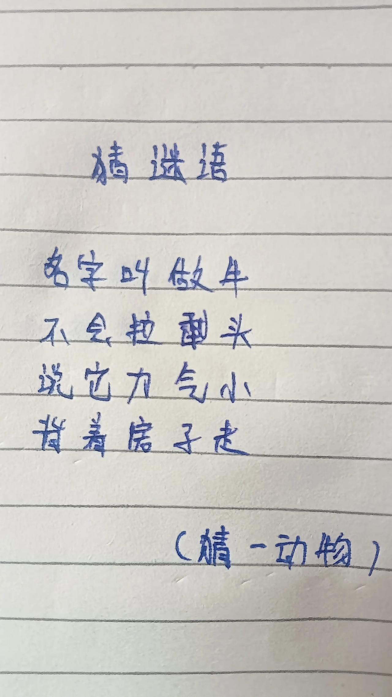 你们知道这是什么动物吗？