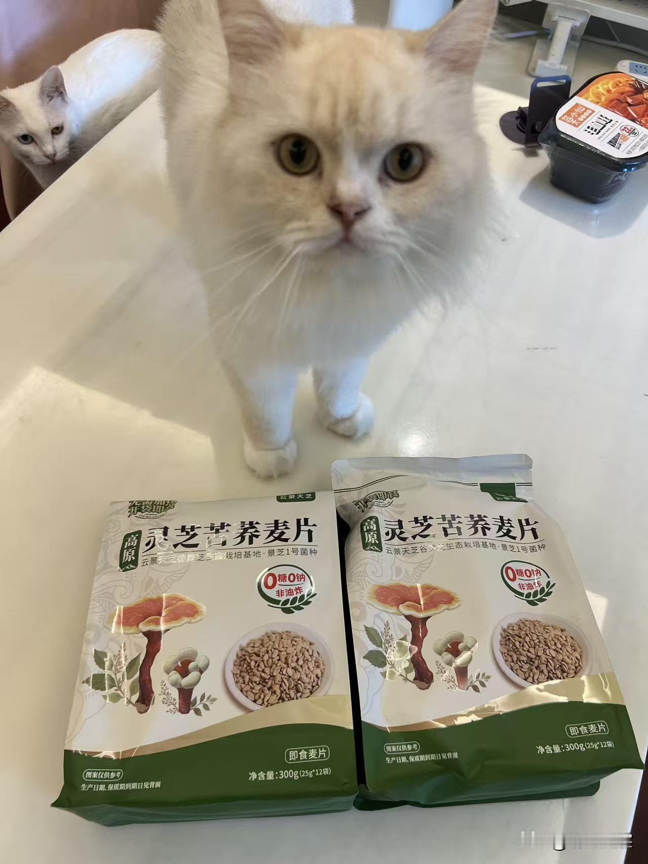 连猫咪都爱吃的灵芝荞麦片啊