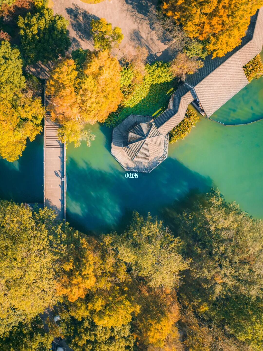 最爱杭州秋天🍂暴走5w步抓住秋天的尾巴