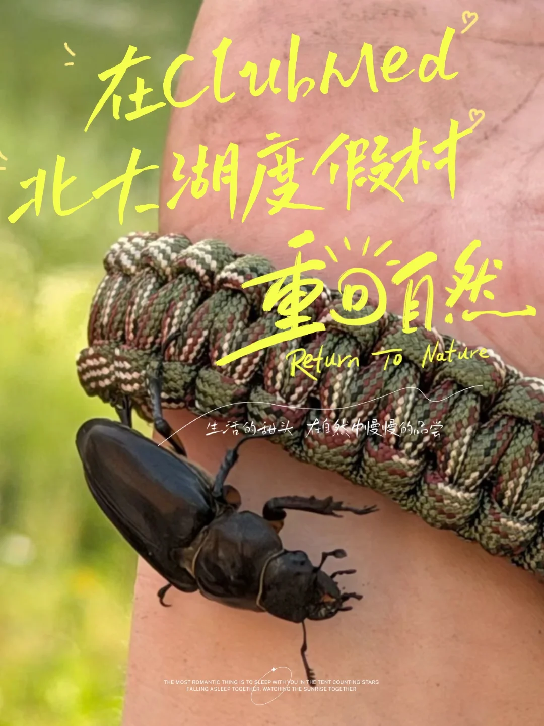 🌱重回大自然🌲ClubMed北大湖首次夏季开业