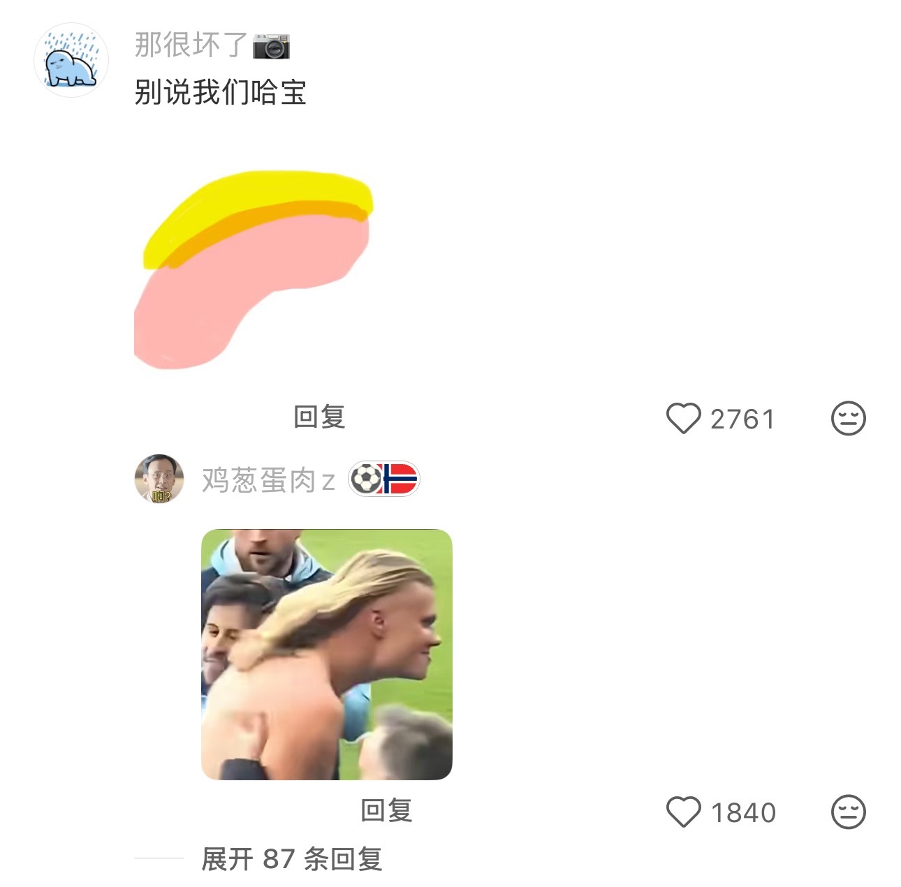 这届最出圈的是哈兰德！哈哈哈哈 