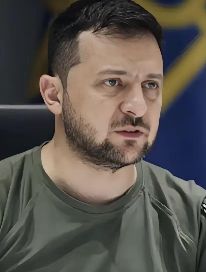 【身处险境的泽连斯基孤注一掷拒绝"割让领土"，将修改美版"和平计划"】
    