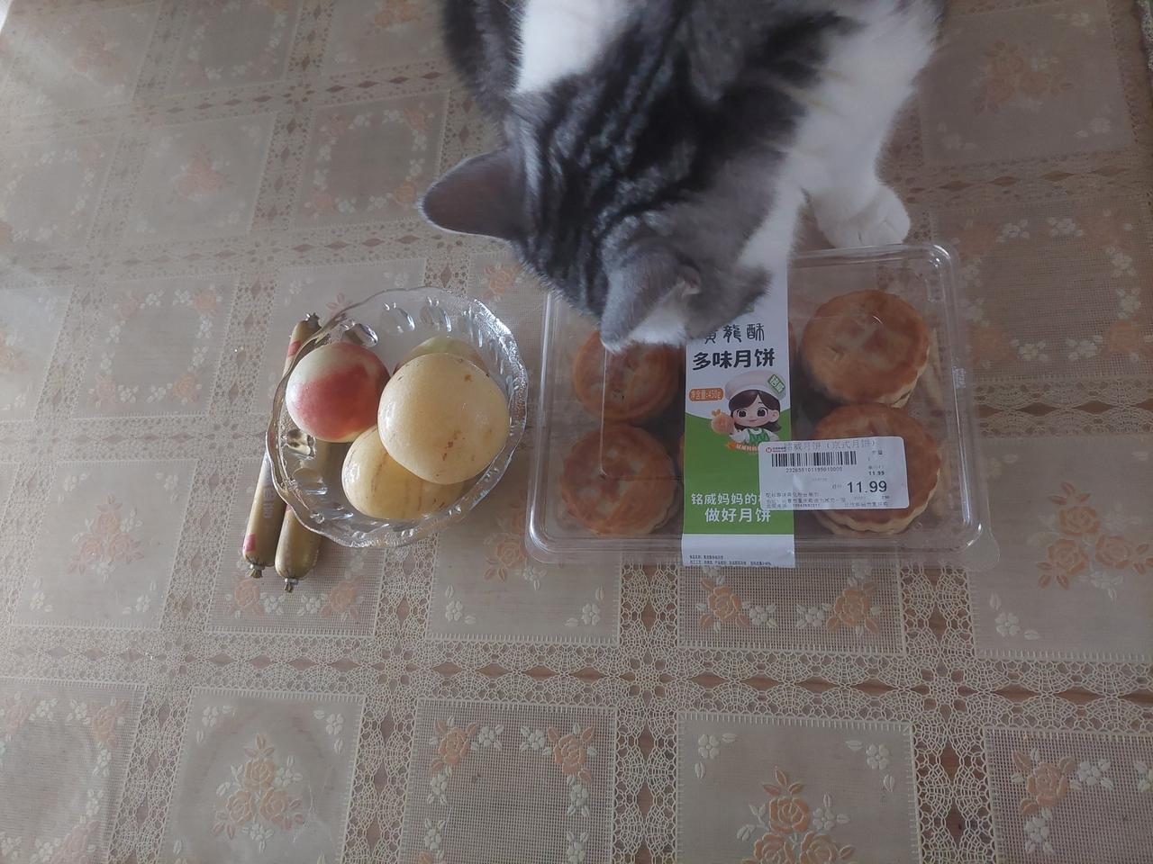 今早写文的时候有点卡文，于是果断定铃睡了 20 分钟。

这 20分钟比平时的两