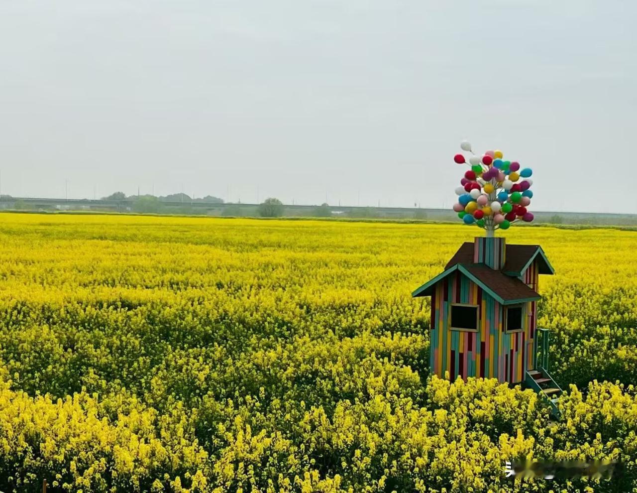退休后才明白一个道理：别等。

以前总想着“等有时间了”“等钱攒够了”，现在想想