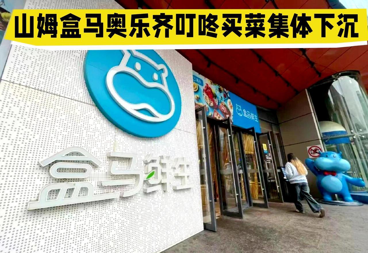 现在零售市场有个挺有意思的现象：山姆、盒马、奥乐齐、叮咚买菜这些大牌，像约好了似