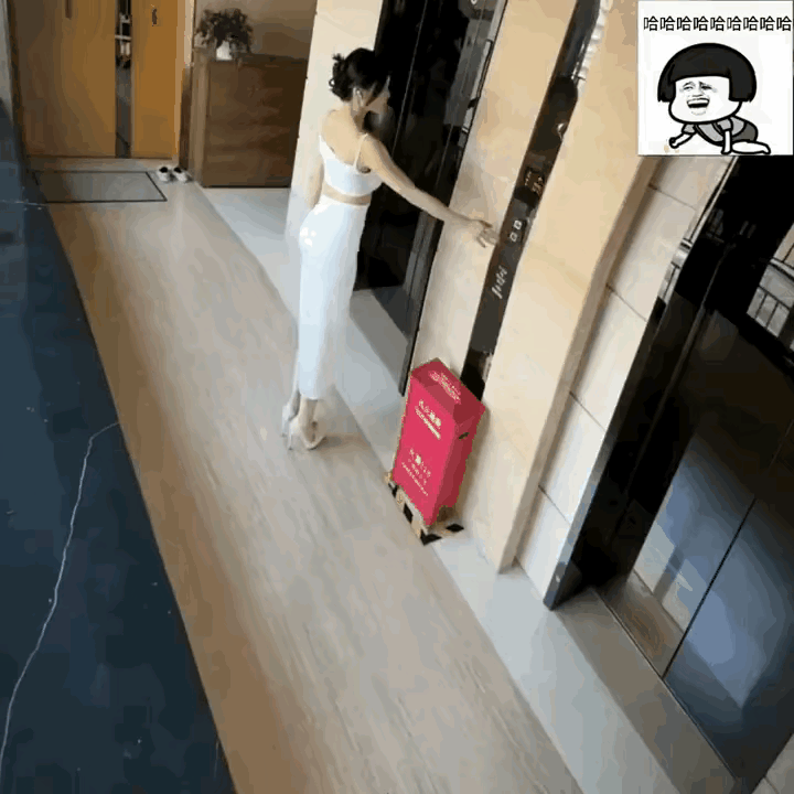 人家小姐姐跳的正欢呢
你突然出来了
真是扫兴啊[捂脸]
