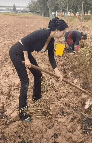 1 天呐！勤劳的女人果然最美！[赞]
2 斑马线上偶遇的风景线，路过的车主看到这