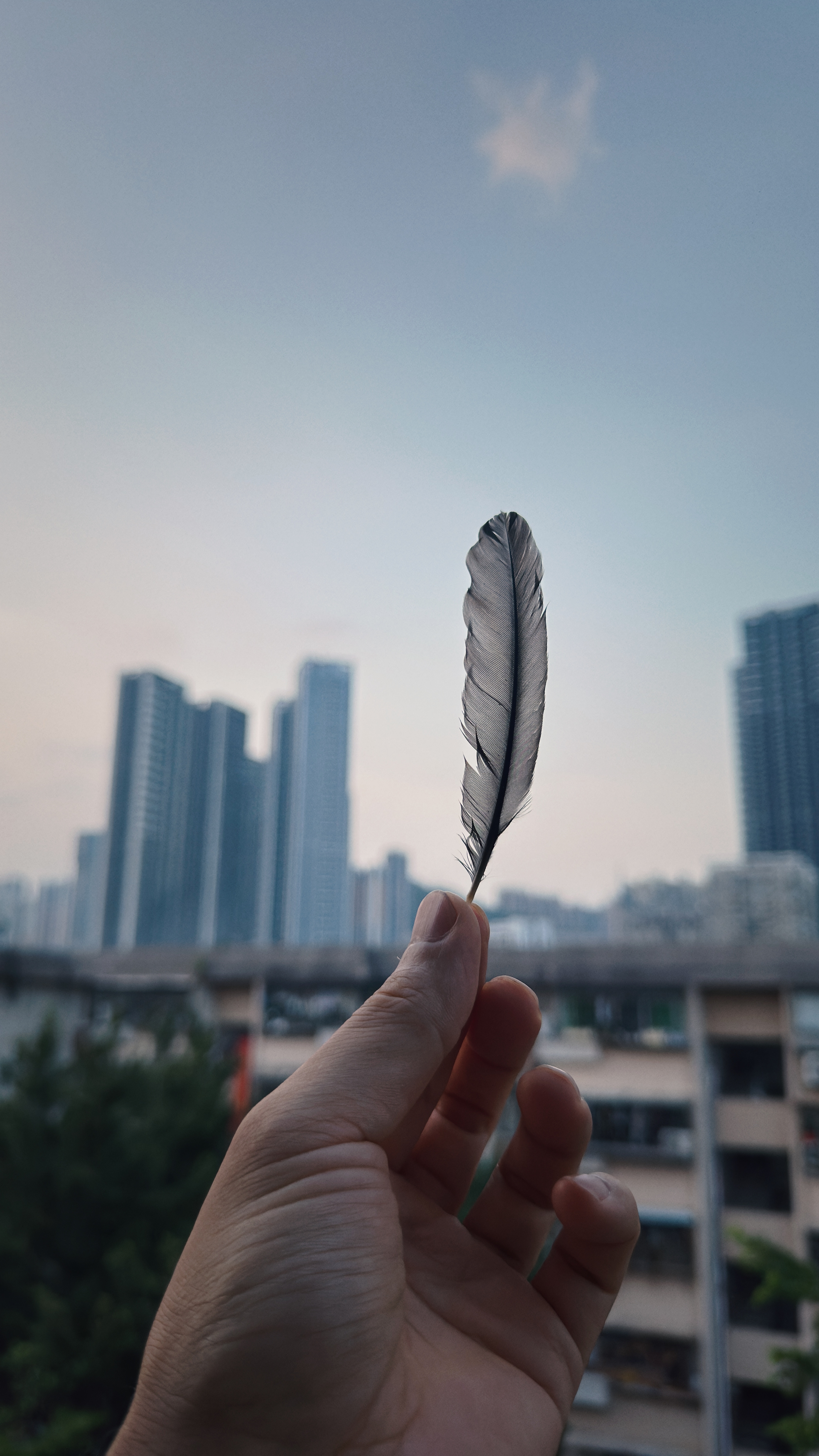 一只鸟飞过阳台，掉下一根羽毛。“靓仔！攞住玩！”佢话。 