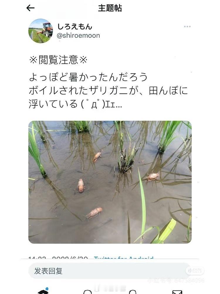 在咱这儿，小龙虾就不可能泛滥 [偷笑]但 ... 这不是前几年的图吗？怎么又被翻