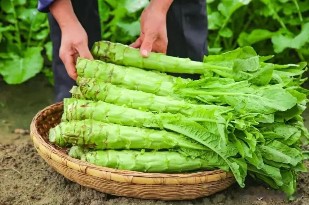 比苦瓜还要低糖的十种蔬菜
1、莴笋
2、芹菜
3、白菜
4、菠菜
5、西兰花
6