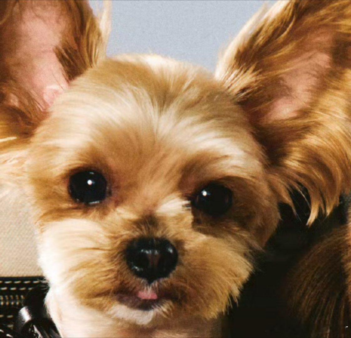 呀...小球鞋小👅也太可爱了叭！[太开心][太开心][太开心] ​​​