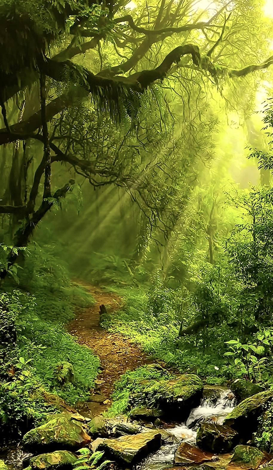 如果你问我努力工作是为了什么？

那我告诉你，最底层的生物，包括人类，是不配享受