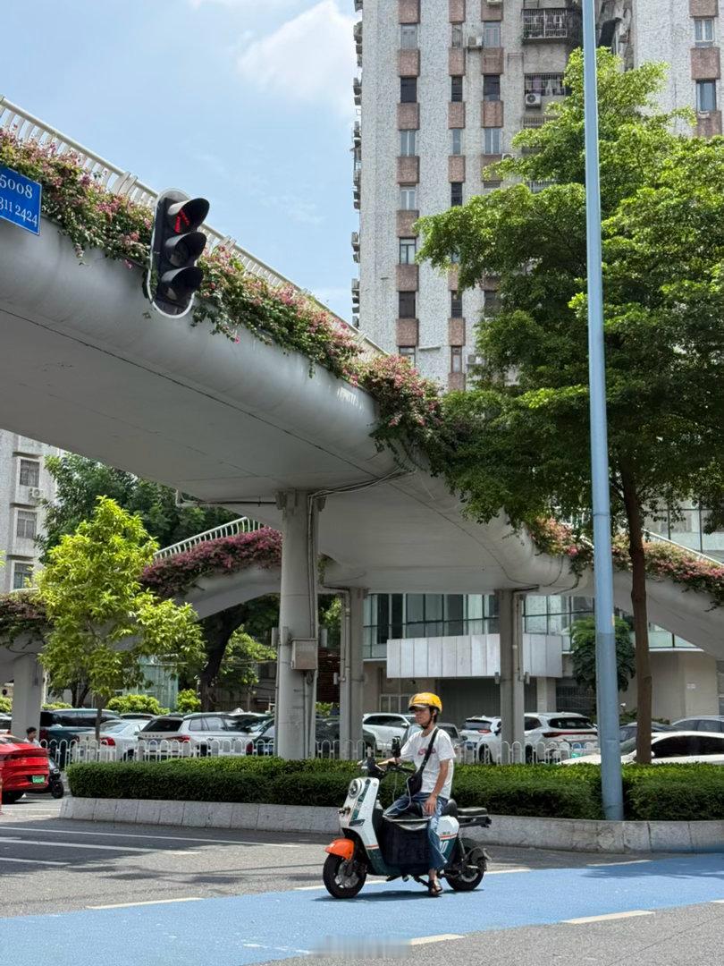 不是说广东有台风红霞吗？据说整个省的铁路都停运了。目前一点台风的影子都没，艳阳高