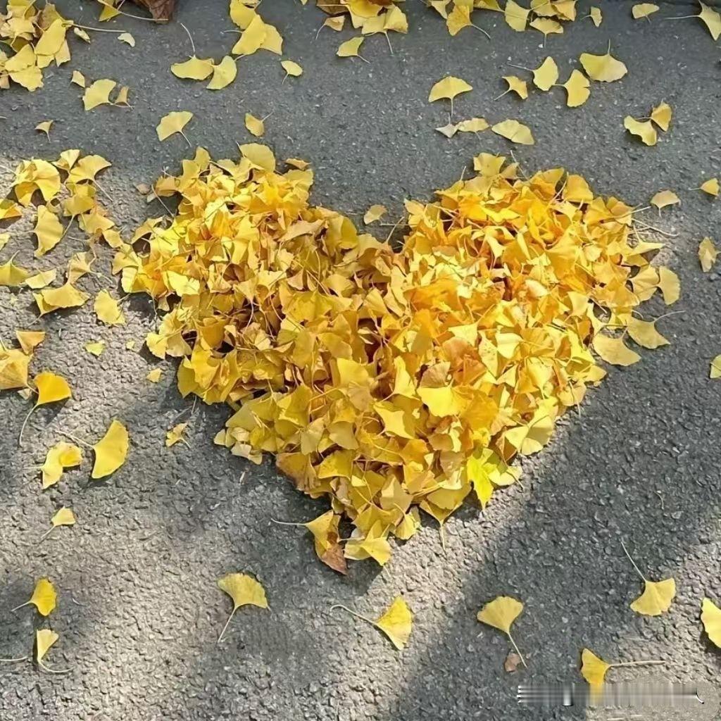 其实一个人才能享受真正属于自己的自由生活。
婚姻生活要有奉献精神才能和谐共处。