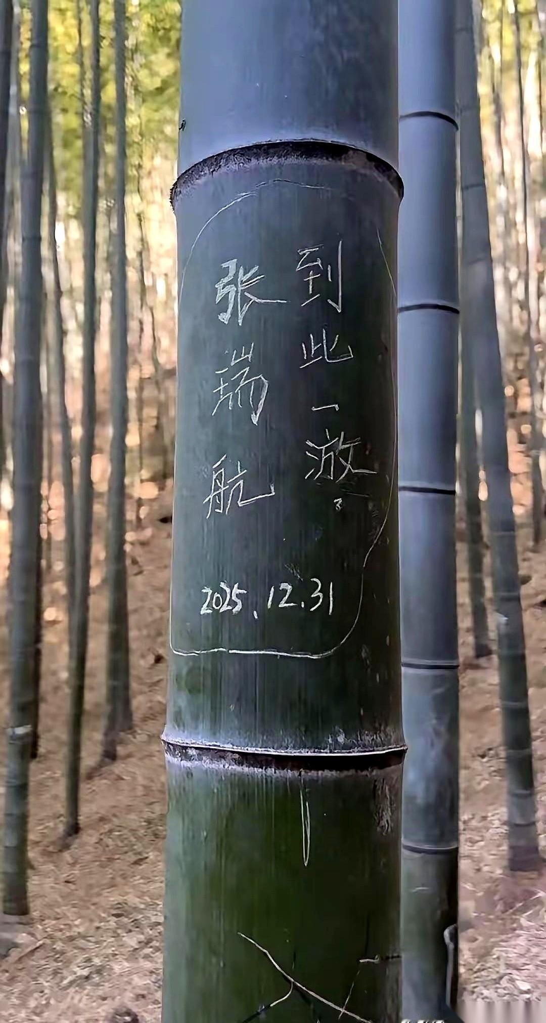 石头上赫然刻着三个大字：“到此一放”。路过的人眼珠子差点飞出去。
这哪是到此一游