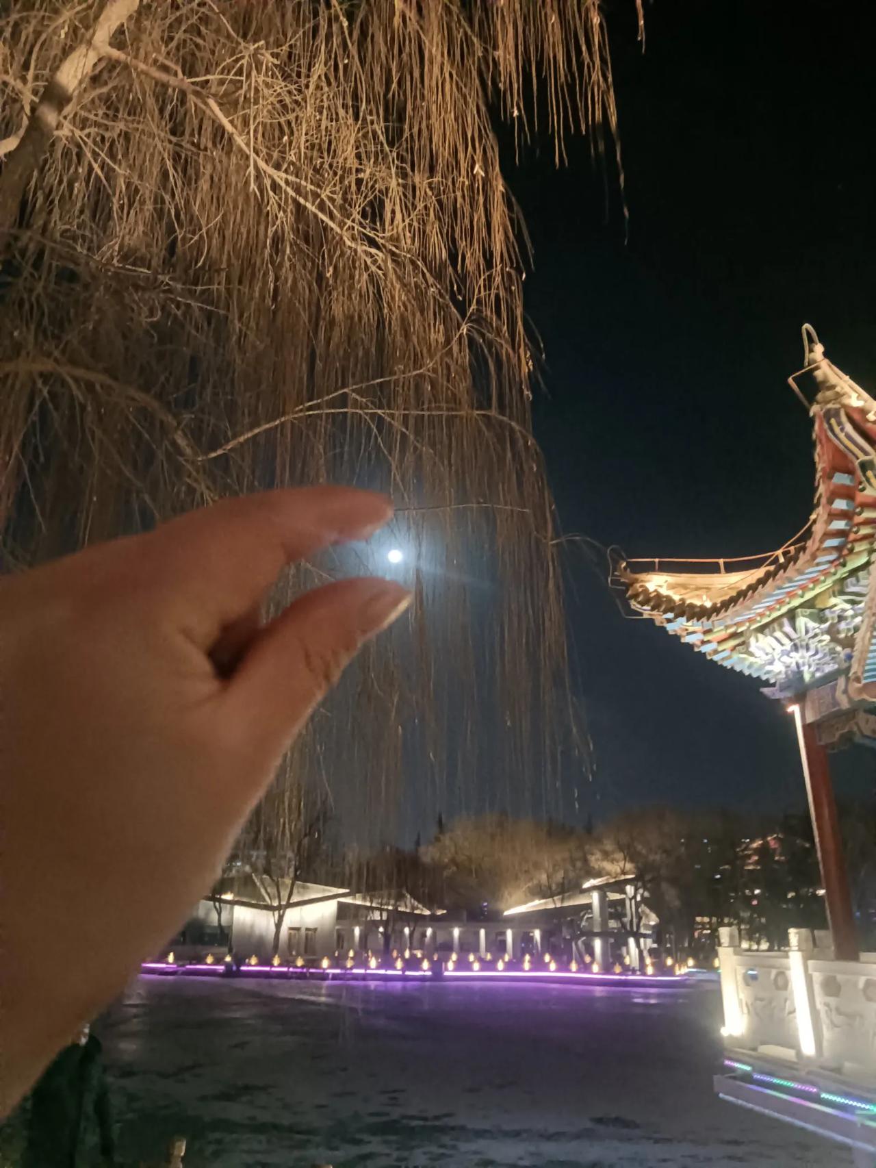 有生以来最好的年，心顺了什么都顺了，连冬天都没觉出冷。一年皆欢喜 人生更顺遂 愿