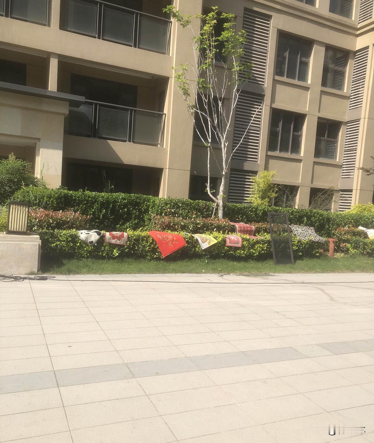 晒出你的本地生活今天天气真好，又是休息天，常州钟楼社区搞了场热闹的便民服务！免费