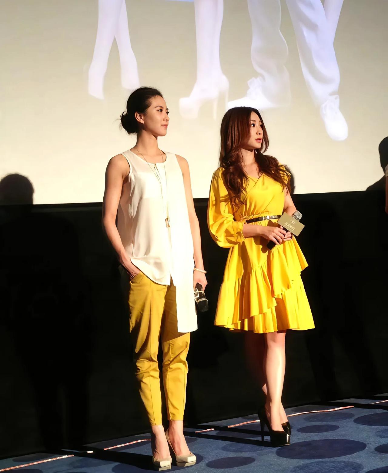 刘诗诗和柳岩的衣服都够丑的，刘诗诗身上这九分长的马裤是最让人理解不了的款式，刘诗