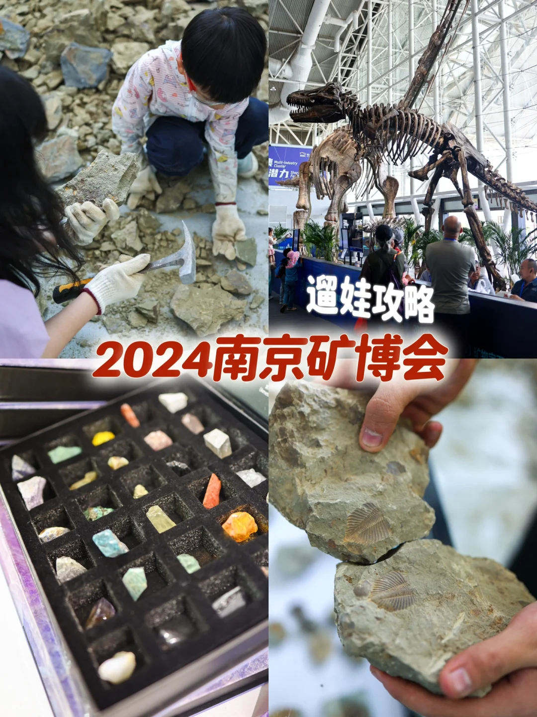 南京遛娃✌️六一儿童节去国展挖化石雨花石❗️